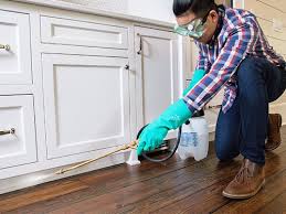 Reliable Woodmere, NY Pest control Solutions